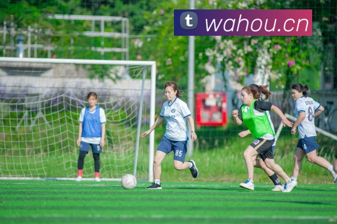 hth官方网页版服务体系